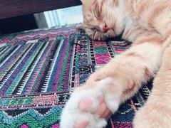 -萨芭蒂高空花园餐酒吧