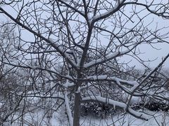 -白水寺森林公园