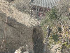 -北京凤凰岭