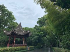 -阿育王寺