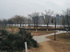 -咸阳湖景区