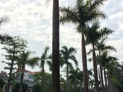 -厦门大学(思明校区)