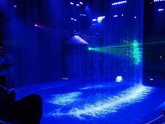 -芜湖新华联大白鲸海洋公园