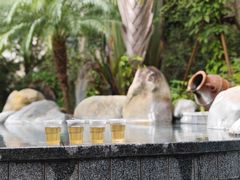 -水底山庄园温泉