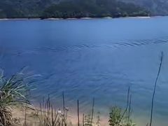 -龙川湾千岛湖国际垂钓中心