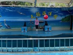 -无锡海洋馆