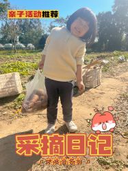 -前小桔亲子创意农场·草莓采摘·露营烧烤