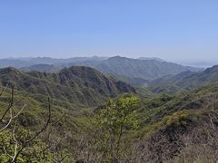 -大岭沟猕猴桃谷风景区