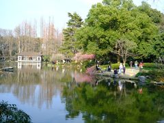 -杭州植物园