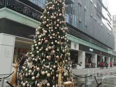 -HALO广场(梨园路店)