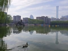 -团结湖公园