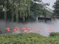 -石家庄市动物园