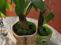 -梦碟·情景SPA•龍筋•瑶浴(龙光玖钻店)