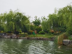 -南湖国家城市湿地公园