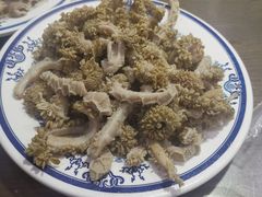 -老爆肚满五香烧牛羊肉