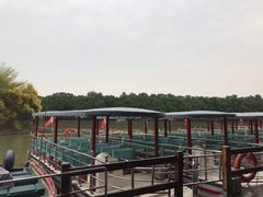 -大湾区中央湿地公园