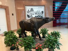 -华西龙希国际大酒店旅游观光景区