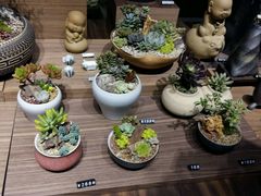 -方所(华润万象城店)