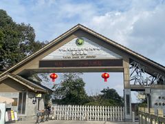 -中国大熊猫保护研究中心雅安碧峰峡基地