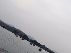 -西湖游船