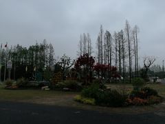 -上海长兴岛郊野公园