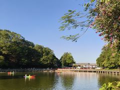 -广州市帽峰山景区