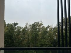 -上海崇明金茂凯悦酒店