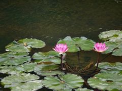 -云溪植物园