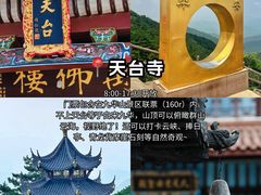 -枣子树·素食餐厅(普陀山店)