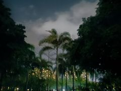 -海南热带雨林国家公园吊罗山景区