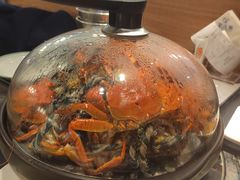 -乔哥铭洋海鲜自助(皇城恒隆广场店)