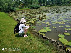 -上海长兴岛郊野公园