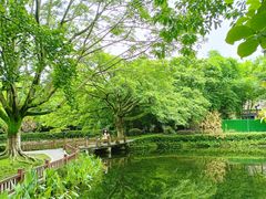 -望江楼公园