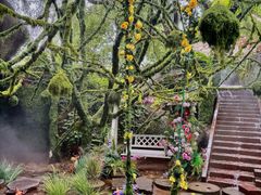 -沂蒙云瀑洞天景区