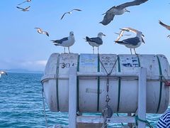 -海驴岛(荣成市)