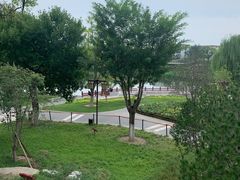 -西海子公园