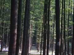 -山王坪喀斯特国家生态公园