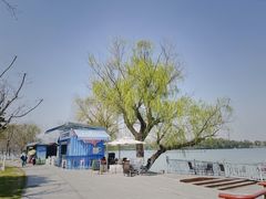 -Beans Solo豆号咖啡(百家湖花园店)