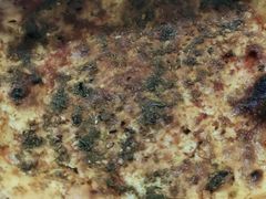 -西部马华清真兰州牛肉面·烧烤夜市(关东店)