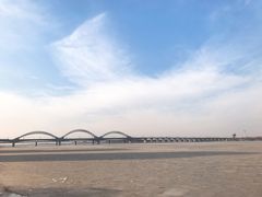 -哈尔滨道外花鸟鱼市场