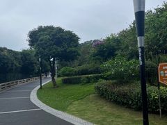 -立新湖公园