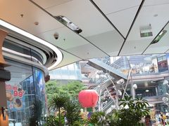 -一沙一城·岩烤牛扒(深圳首店)