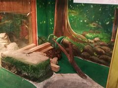 -上海大自然野生昆虫馆(东方明珠·爬宠昆虫探索中心)