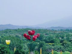 -密云玫瑰情园