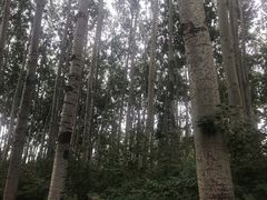 -仁和公园(顺义区)