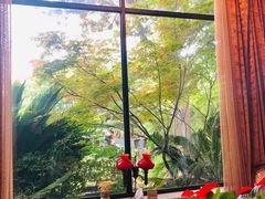 -大可堂普洱茶馆(襄阳南路馆)