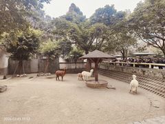 -成都动物园