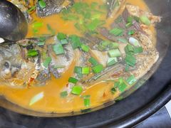 千岛湖有机鱼-千岛湖小鱼儿·淳安匠心农家菜