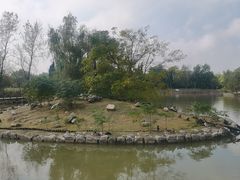 -盐城丹顶鹤湿地生态旅游区