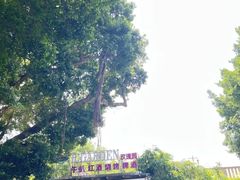 -玫瑰园餐厅